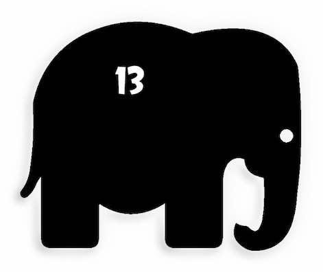 13 Elephant