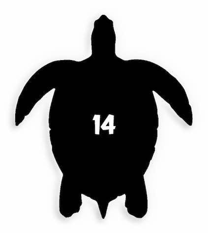 14 Turtle