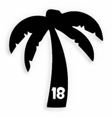18 Palm tree