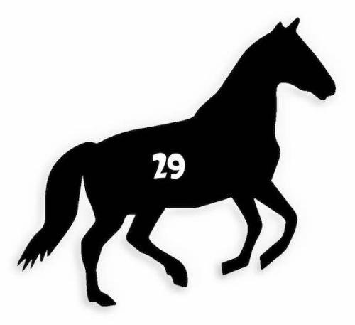 29 Horse