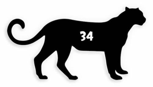 34 Panther