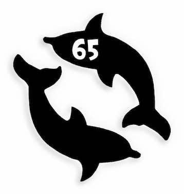 65 Dolphins