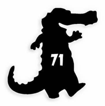 71 Alligator Crocodile