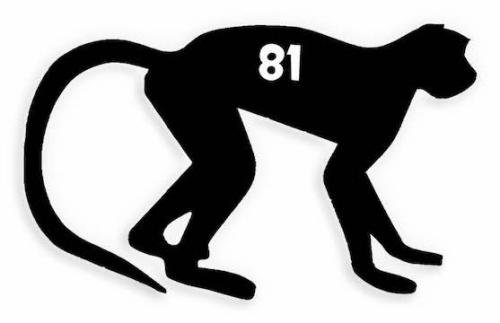 81 Monkey