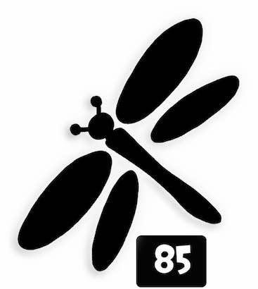 85 Dragonfly