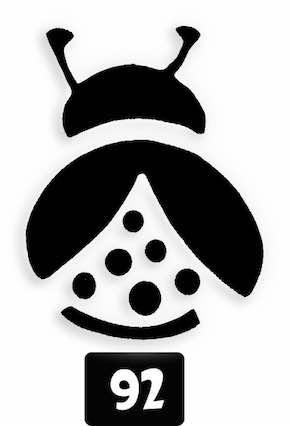 92 Ladybug