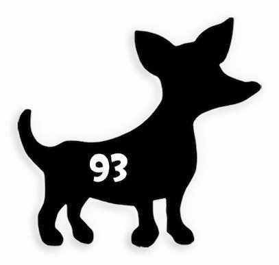 93 Chihuahua Dog