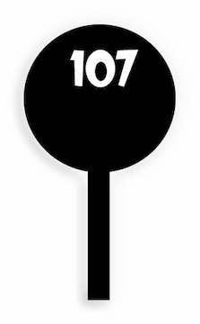 107 Lollipop